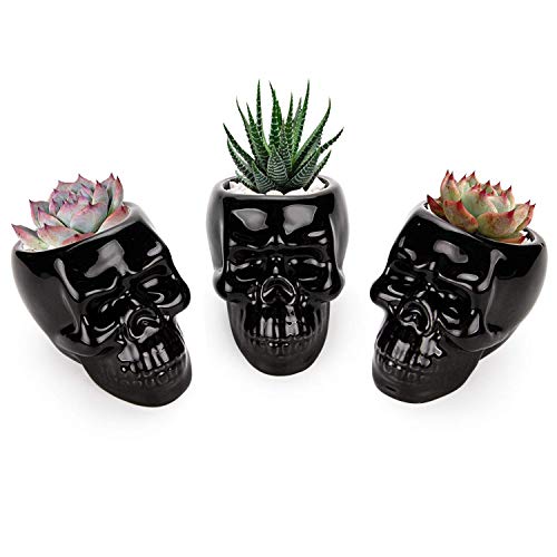 T4U Black Ceramic Skull Shaped Succulent Planter Pots Set of 3 Cute Cactus Plant Pot Creative Pen Pencil Holder for Home Office Desk Decoration Birthday Wedding