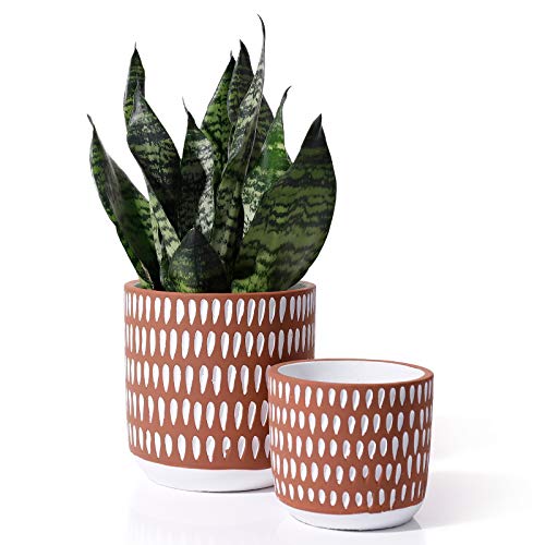 Cement Planters Pots for Plants Indoor  6  45 Inch Indoor Concrete Vintage Style Dot Patterned Planters Bonsai Container with Drainage Hole(POTEY 055603 Plants NOT Included)