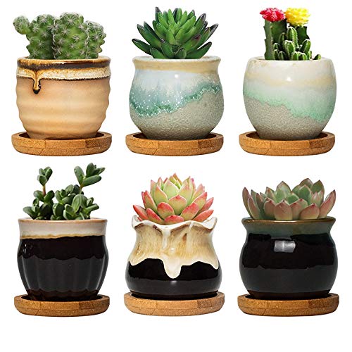 FairyLavie 25 Inch Ceramic Succulent Plant Pot Rustic Style Cute Little Pots for Plants Planter with Bamboo Tray Perfect for Home Office Decor and Ideal Gift for Family Friends Colleague Set of 6
