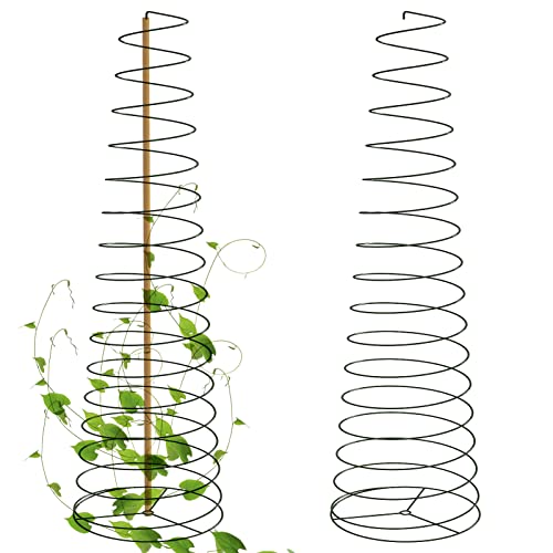 2 Pack Stainless Steel Plant Supporter Spiral Vegetable Plant Support Stakes Stretchable Tomato Grow Support Cage Ring for Garden Balcony Yard Veggie Vine Plants Growing Climbing (Stick Not Include)
