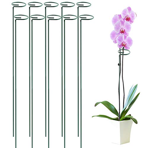 HiGift 10 Pack 36 Inch Plant Support Stake for Tall Plant Garden Single Stem Flower Support Stake Indoor Plant Cage Support Ring for Peony Orchid Lily Rose