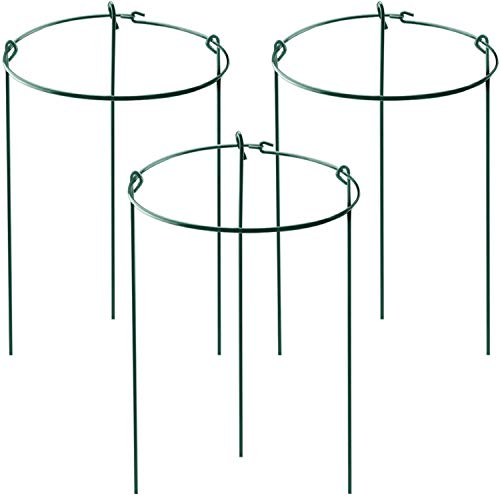 HiGift 3 Pack Peony Cages Support Stakes Ring for Garden Round Plant Support for Outdoor (10 W x 17 H) Indoor Plant Cages Hoops Plant Rings for TomatoesRoseAstilbesVine Indoor Potted Plants
