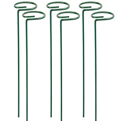LEOBRO 6 Pack Plant Stakes for Flowers Metal Single Stem Plant Support Garden Plant Stakes for Amaryllis Orchid Lily Rose Tomatoes Dark Green 405 CM159 INCH
