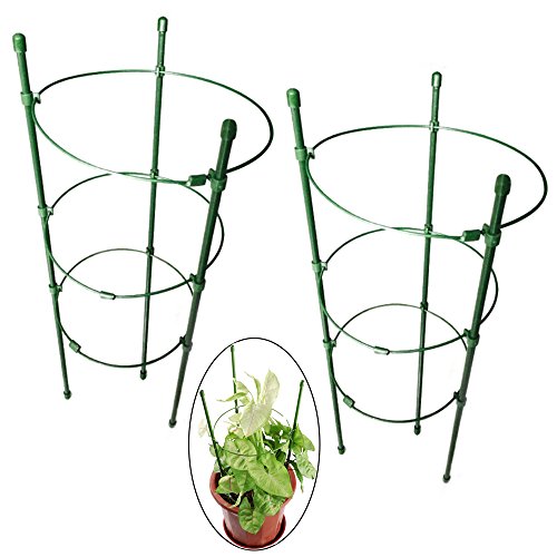 Orgrimmar Vine Trellis Support 177 Flowers Plants Cage Triple Plastic Pillar with Iron Rings Vine Plants Holder Stand Small Pot Plant Trellis for Home Garden Balcony(Pack of 2)