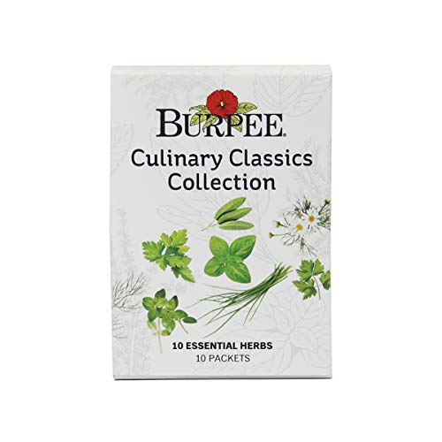 Burpee Culinary Classics Garden Collection 10 Packets of NonGMO Chives Cilantro Basil Sage Thyme Dill Parsley Chamomile Marjoram  Oregano  Kitchen Herb Variety Pack Seeds for Planting