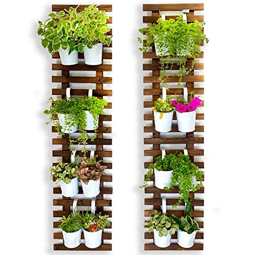 ShopLaLa Wall Planter  2 Pack Wooden Hanging Large Planters for Indoor Outdoor Plants Live Vertical Garden Plant Wall Wall Mount Plant Holder Stand Decor Garden Wall Trellis for Climbing Plants