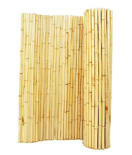 Backyard XScapes Natural Rolled Bamboo Fence 1in D x 4ft H x 8ft L