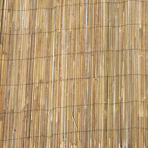 MGP Bamboo Slat Fence