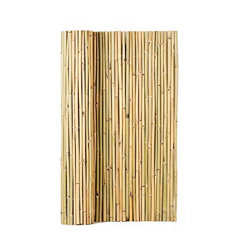 Mininfa Natural Rolled Bamboo Fence EcoFriendly Bamboo Fencing 07 in D x 4 feet High x 6 feet Long Bamboo Screen for Garden Privacy