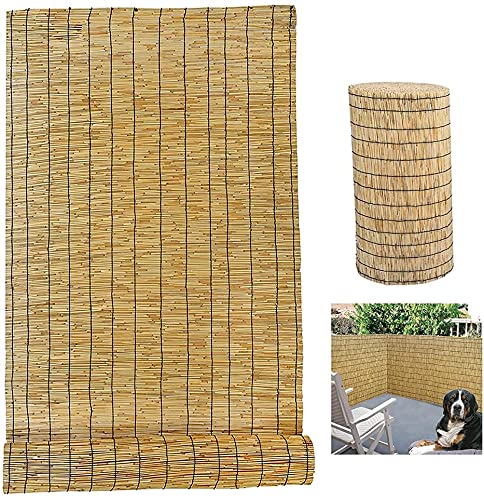 Wcxixo Reed Fence Screening Screen Natural Reed Fence Wind Break Screening Wall 3—10M Roll Bamboo Covering Privacy Panel Roll for Garden Or Balcony Bamboo Fencing Rolls 2 3 4 Feet High