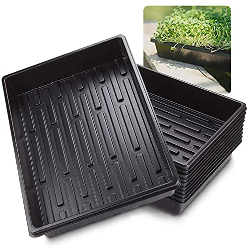 10 Pack Plastic Growing Trays 157 X 118 X 24 Growing Trays Without Holes Hydroponic Tray for Flowers Seedlings Plants Wheatgrass Microgreens