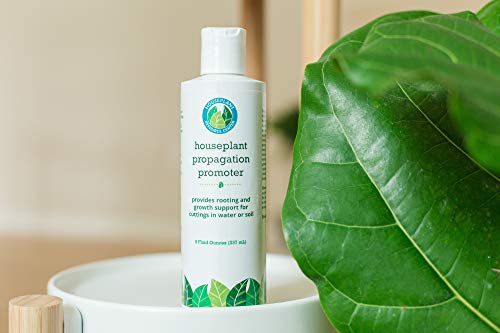 Houseplant Propagation Promoter  Rooting Hormone Root Stimulator Plant Starter Solution for Growing New Plants from Cuttings (Formulated for Fiddle Leaf Fig or Ficus Lyrata)