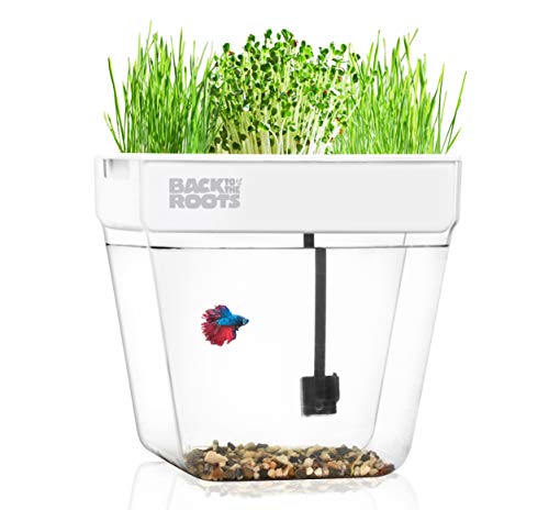 Back to the Roots Water Garden SelfCleaning Fish Tank That Grows Food Mini Aquaponic Ecosystem (Great Gardening Gift  Family Project) 3 Gallons