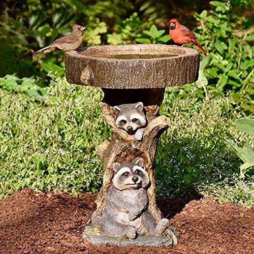 YOUMETO Outdoor Bird Bath Bowl Cute Animals Resin Pedestal Fountain Decoration for Yard Garden wPlanter Base Feeder Wonderful Outside Decor Best Choice Gift (Raccoon Patern)