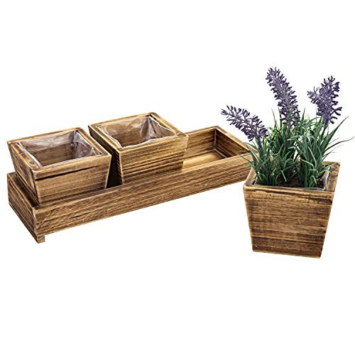 Countertop Herb Garden Container MyGift Rustic Brown Wood Succulent PlanterFlower Pot Set with Decorative Bottom Tray and Plastic Liner