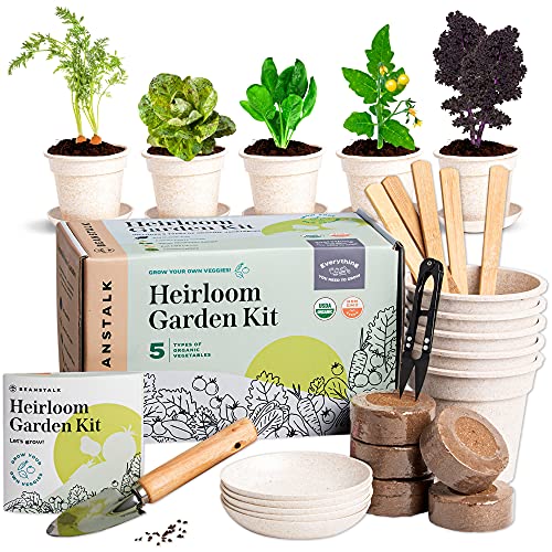 Organic Vegetable Garden Starter Kit  Vegetable Growing Kit Vegetable Starter Kit Organic Tomato Seeds Non GMO Certified Countertop Garden Starter Kit