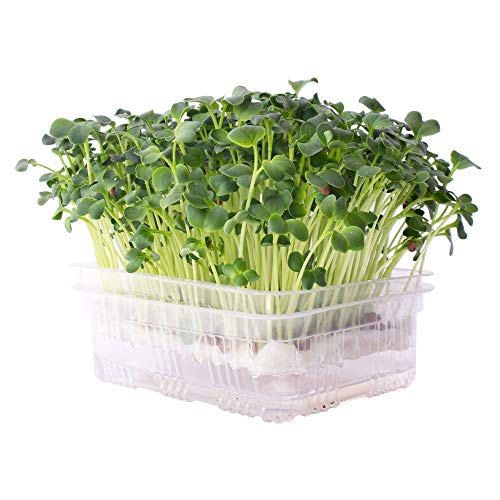 Reusable SelfWatering Mini Microgreens Growing Trays  5 Trays  for Any Soil or Hydroponic Microgreens Growing Kit  Grow Micro Greens Wheatgrass or Cat Grass  Easy Countertop Sprouting Tray