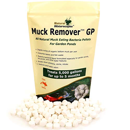 Natural Waterscapes Muck Remover GP  150 Pellets  Koi Pond Sludge Remover  Safe for Fish  Treats 5000 Gallons up to 5 Months