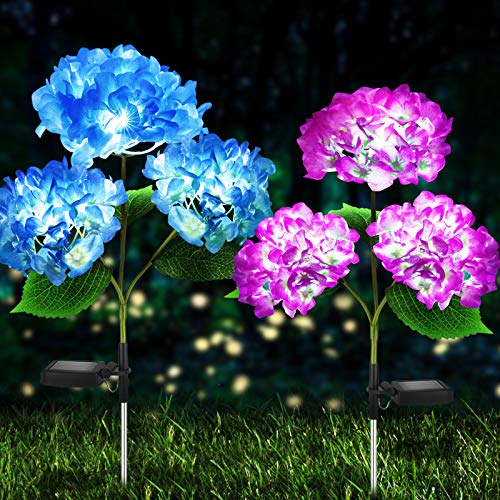 Solar Lights Outdoor Decorative  2 Pack Hydrangea Solar Garden Stake Lights Waterproof and Realistic LED Flowers Powered Outdoor InGround Lights for Garden Lawn Patio Backyard (Purple and Blue)