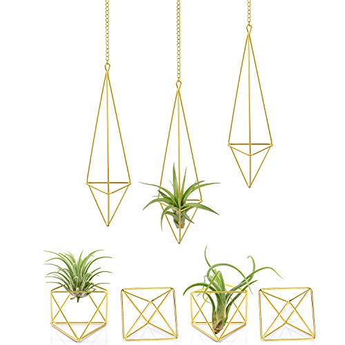 Mkono 7 Pack Air Plant Holder Metal Himmeli Decor Modern Geometric Planter 3 Pcs Hanging Airplants Rack Tillandsia Hanger and 4 Pcs Mini Tabletop Air Fern Display Stand for Home Office Wedding Gold