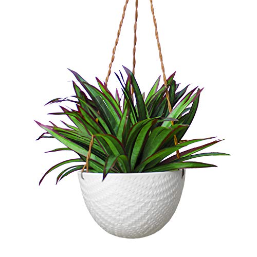 Slice of Goodness Hanging Planter  HolderPot for Plants Flowers Succulents  Ceramic Modern Design for Indoor Decor and Outdoor Garden Patio  Plant Not Included  White  Large (Set of 1)
