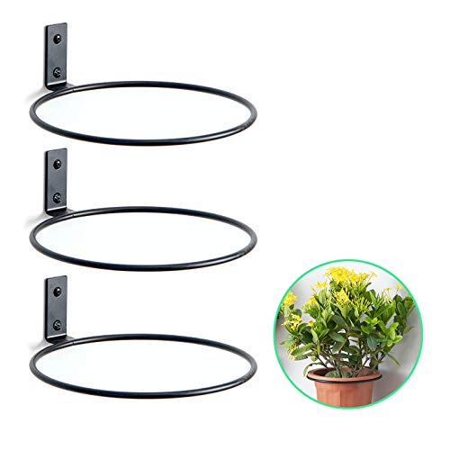 8 inch Hanging Plant Stand Heavy Duty Metal 3 Pack Flower Plant Pot Support Holder Ring Fit for OutdoorIndoor Home Decoration (8 inch)