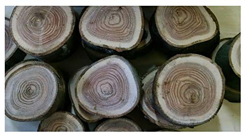LTD Red Oak Wood ChunksSlices for BBQGrillingWood Smoking