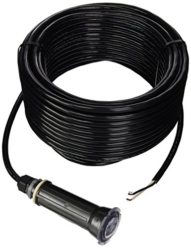 Pentair Water Pool and Spa 602055 Globrite for Swimming Pool 100 Foot Cord