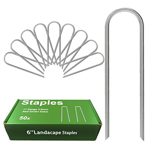AAGUT 6 Inch Garden Pins 50 Pack Drip Irrigation Tubing Stakes Landscape Staples Heavy Duty 11 Gauge Securing Pegs Galvanized Lawn U Pegs for Soaker Hose Chicken Wire Weed Barrier Fabric Dog Fence