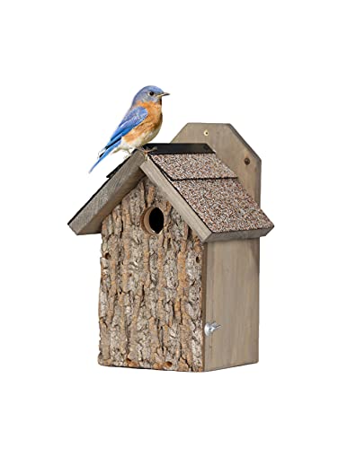 Uncle Dunkels Ultimate Blue Bird House  Solid Pine Bluebird Houses for Outside Mounting with Real Poplar Tree Bark Front  Handcrafted Bird Nesting Box and Wooden Outdoor Bird House  Made in the USA