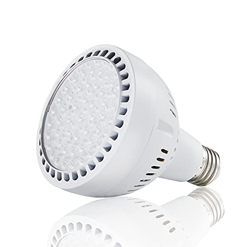 LED Pool Light Bulb 50W 5500LM 120V 6000K Daylight White LED Swimming Pool Light Bulb Replaces up to 200800W Traditionnal Bulb