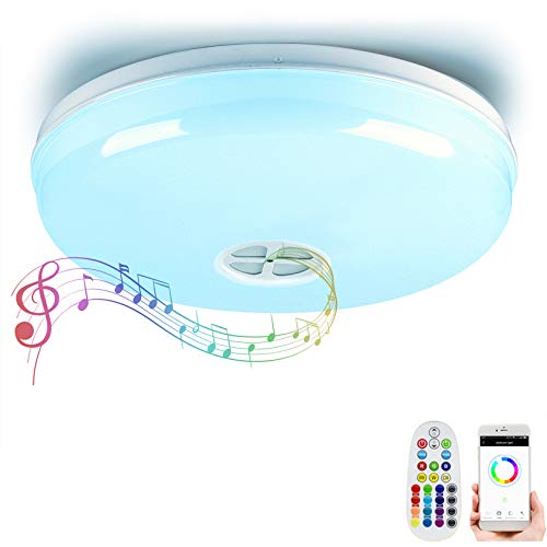 24W WiFi Ceiling Lamp 24W Voice Control RGBW APP Control WiFi LED Ceiling Light Dimmable 2700K  6000K Multicolored Lights Work with Alexa and Google Assistant (24W WiFiBT)
