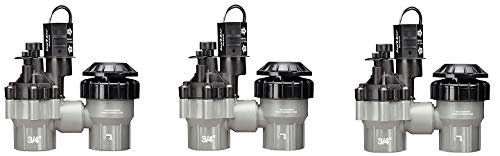 Rain Bird DASASVF075 Professional Grade AntiSiphon Valve with Flow Control 34 Threaded Female x Female (3Pack)