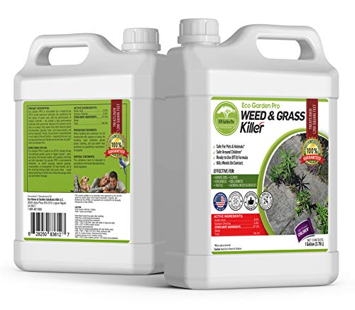 ECO Garden PRO  Organic Vinegar Weed Killer  Kid Safe Pet Safe  Clover Killer for Lawns  Moss Killer  Green Grass  Poison Ivy Killer  Spray Ready Glyphosate Free Herbicide (1 Gallon)