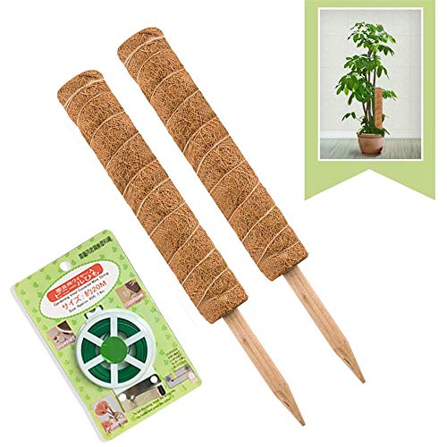 JOYSEUS 30 Inch Moss Pole for Climbing Plants  2 Pack 15 Inch Coir Totem Pole Plant Support with 65 Feet Garden Twist Tie for Monstera and Potted Plants to Grow Upwards…
