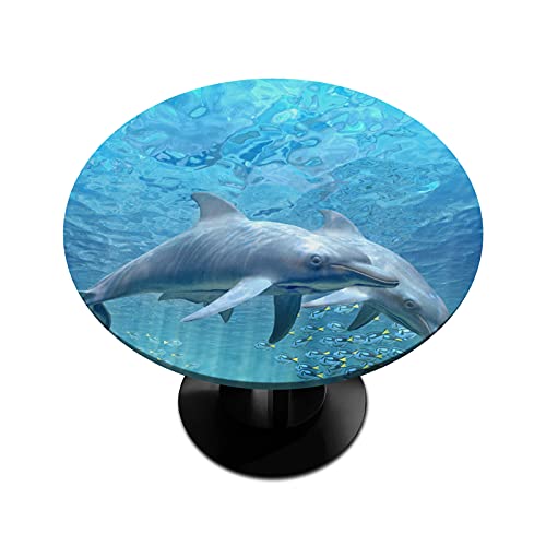 Round Fitted Tablecloth with Elastic Edged Sea Dolphin Tropical Fish Waterproof Wipeable Round Table Cover for Outdoor Patio Indoor and Dining Table Fits Tables up to 36  42 Diameter