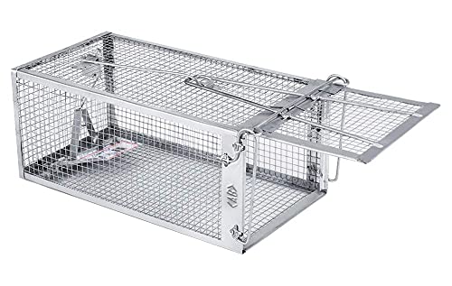AB Traps Quality Live Animal Humane Trap Catch and Release Rats Mouse Mice Rodents Cage  Voles Squirrel and Similar Sized Pets Safe and Effective  Size Small