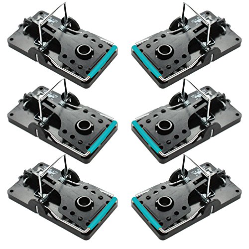 Large Rat Traps Set of 6 Reusable Pest Control Solutions for Trapping Against Mouse Chipmunk and Squirrel Instant Humane Kill Rodent Snap Trap That Work