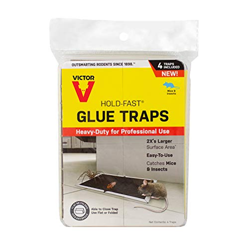 Victor M668 HoldFast Mouse Glue TrapsBlack