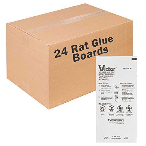 Victor Rat Board24Pack M319 24Pack Large Mouse Glue Board White