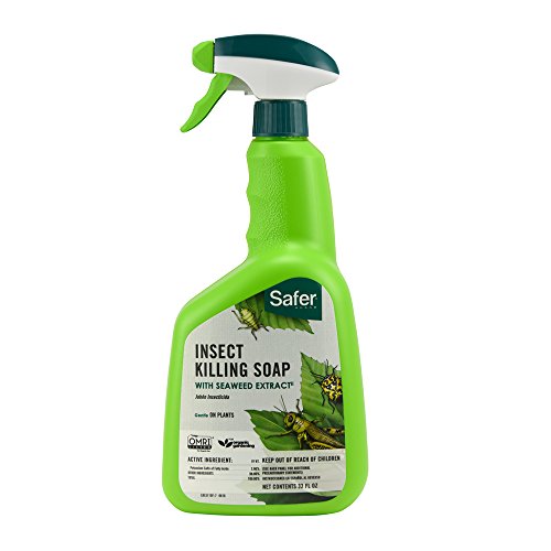 Safer Brand 51106 Insect Killing Soap 32 Oz
