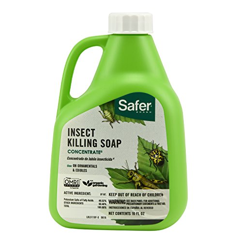 Safer Brand 51186 Insect Killing Soap Concentrate 16oz