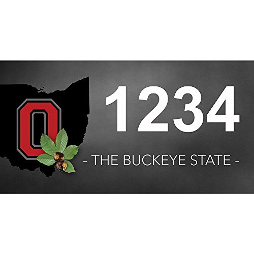 Ohio Buckeye - Custom House Numbers by State of Address  - 12 x 6 Metal