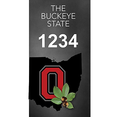 Ohio Buckeye - Custom House Numbers by State of Address  - 35 x 7 Metal