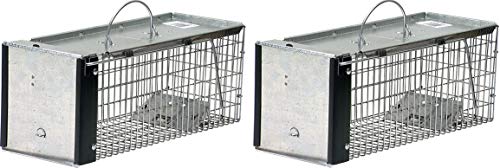Havahart 0745 OneDoor Animal Trap for Chipmunk Squirrel Rat and Weasel XSmall (Pack of 2)