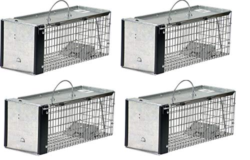 Havahart 0745 OneDoor Animal Trap for Chipmunk Squirrel Rat and Weasel XSmall (Pack of 4)