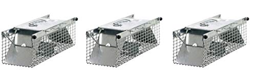 Havahart 1025 Small 2Door Live Animal Trap  Ideal for catching Squirrels Chipmunks Rats Weasels (Pack of 3)