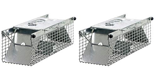 Havahart 1025 Small 2Door Live Animal Trap  Ideal for catching squirrels chipmunks rats weasels (Pack of 2)