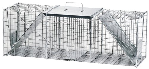 Havahart 1045 Live Animal TwoDoor Raccoon Stray Cat Opossum and Groundhog Cage Trap