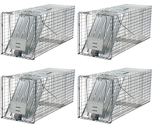 Havahart 1079 Large 1Door Humane Animal Trap Raccoons Cats Groundhogs Opossums (Pack of 4)